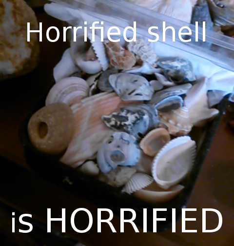horrified shell